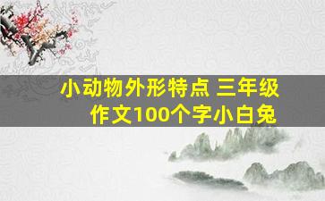 小动物外形特点 三年级 作文100个字小白兔